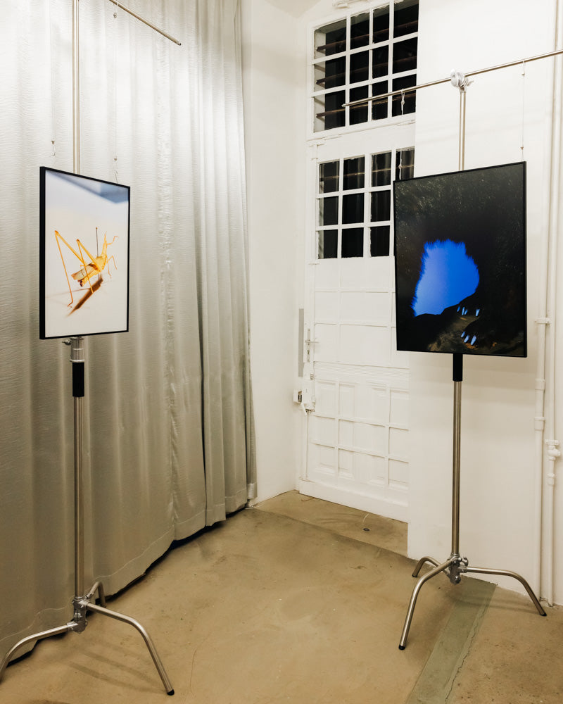 Original Artwork: Beauvais – Caroline Heinecke